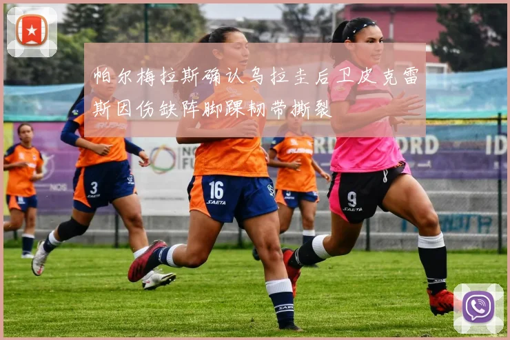 帕尔梅拉斯确认乌拉圭后卫皮克雷斯因伤缺阵脚踝韧带撕裂
